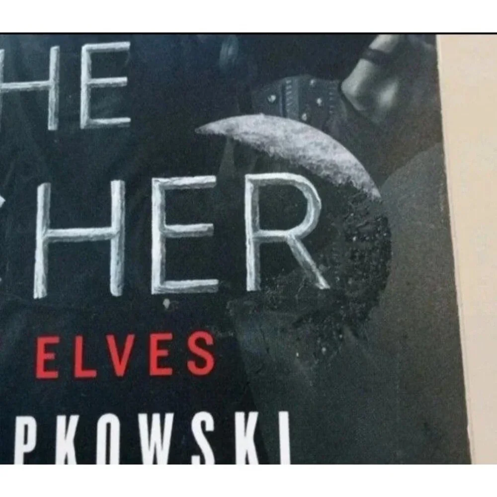 The Witcher Books (Lot of 2) - Sword of Destiny & Blood of Elves USED